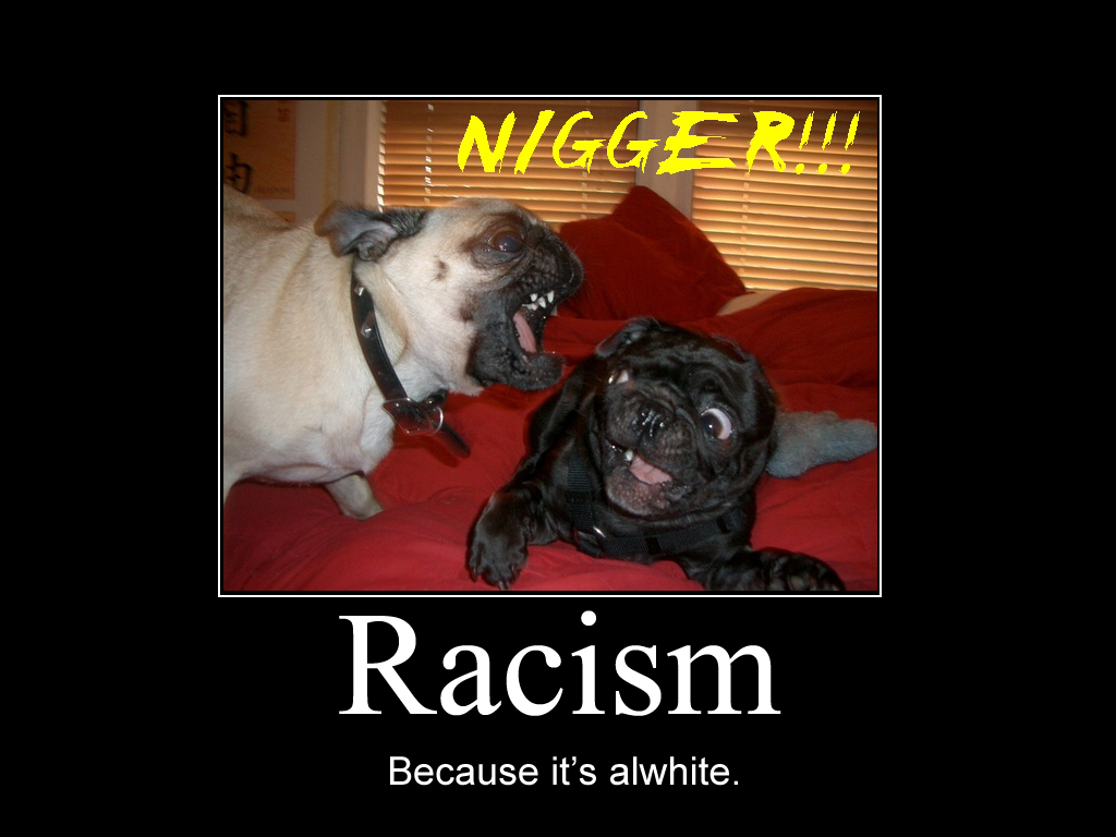 photo marrante raciste